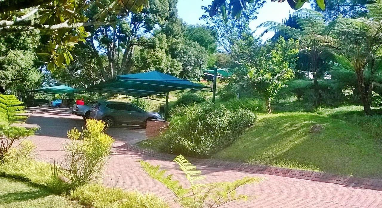 Pine Lake Resort White River Dış mekan fotoğraf